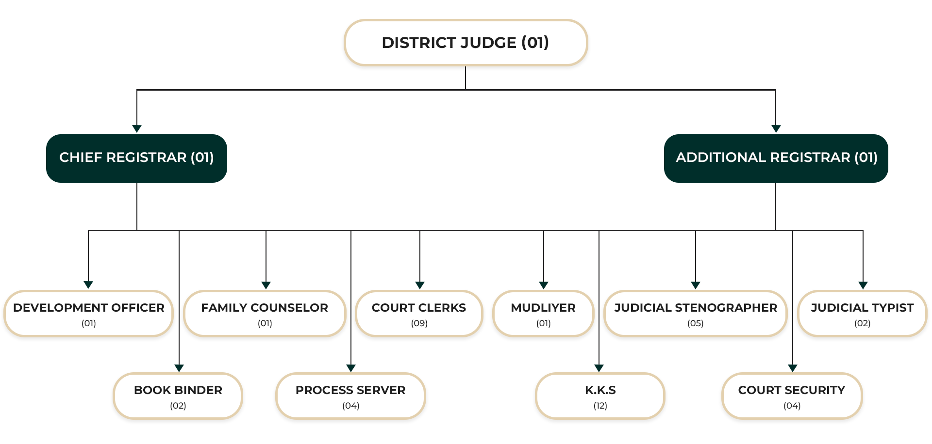 DISTRICT COURT COLOMBO ORGANIZATIONAL STRUCTURE