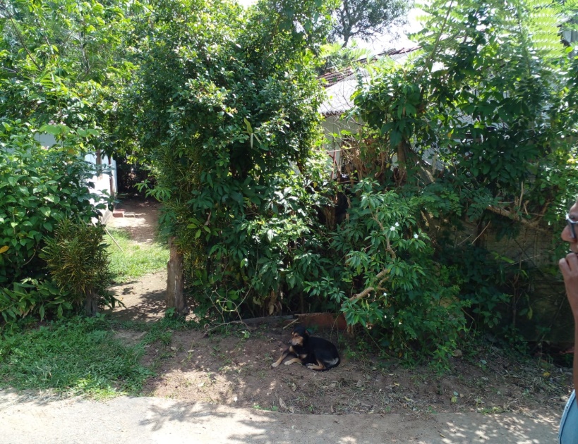 ඉඩම් හා ගොඩනැගිලි