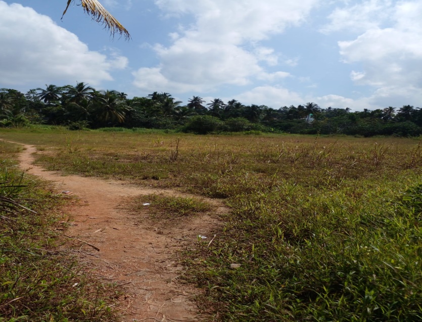 මහජන ක්‍රීඩාංගන