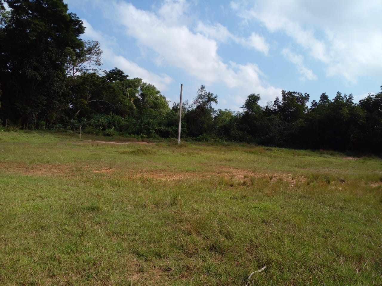 මහජන ක්‍රීඩාංගන