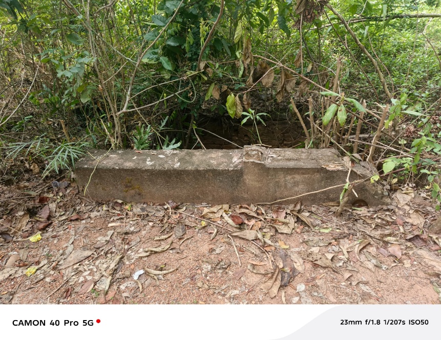 පොදු ළිං