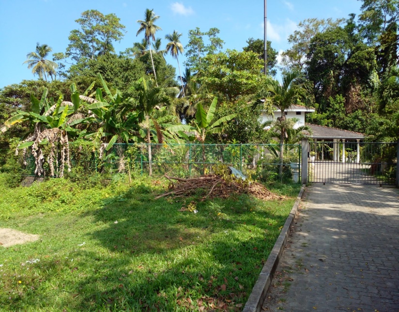 පොදු සුසාන භූමි