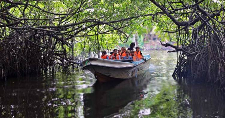 මාදු ගඟ සහ රැම්සා තෙත් බිම