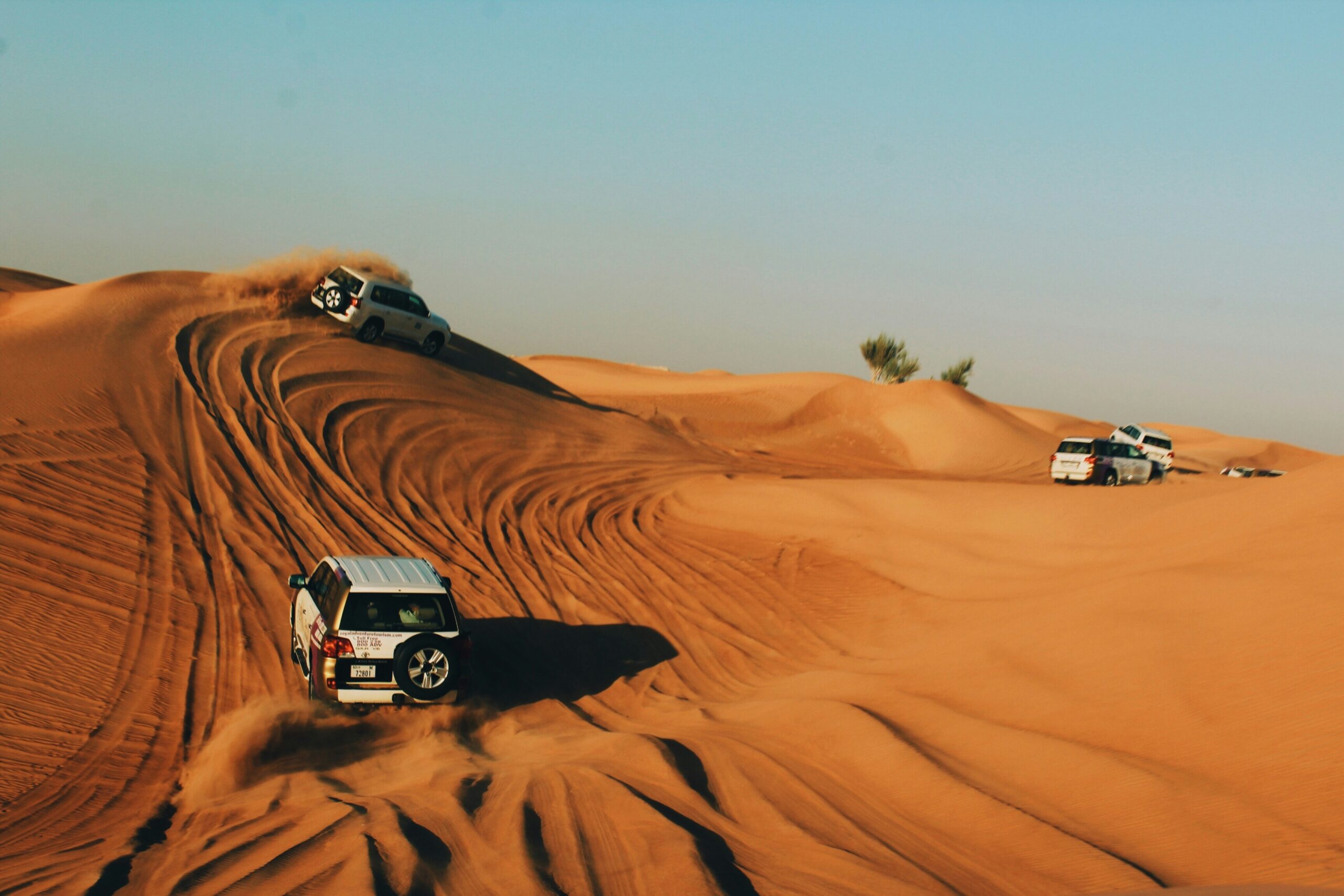 Desert & Safari Experiences