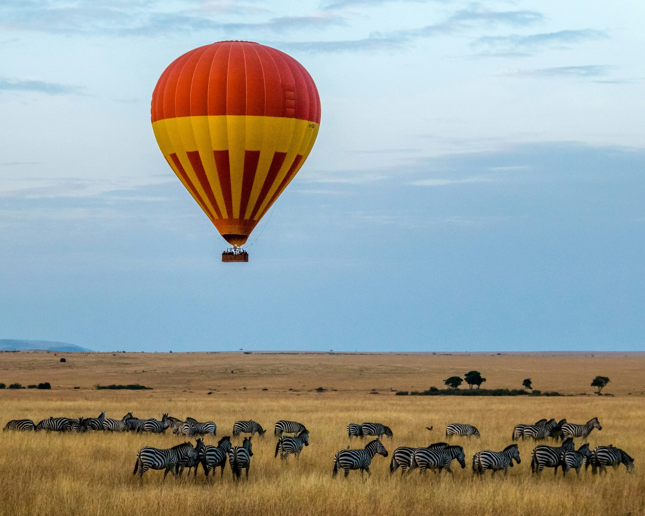 Classic Kenya Safari: From Samburu Wonders to Mara Majesty