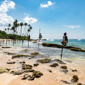 daniel-klein-Qx8_d5dGhrs-unsplash