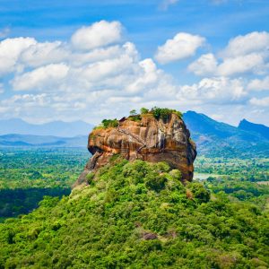 pexels-harsha-samaranayake-303340503-13391116