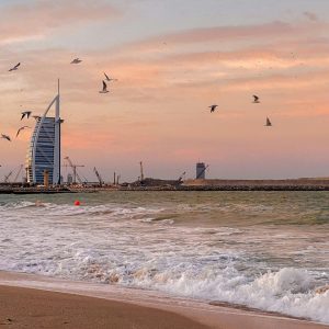 pexels-walidphotoz-33349357