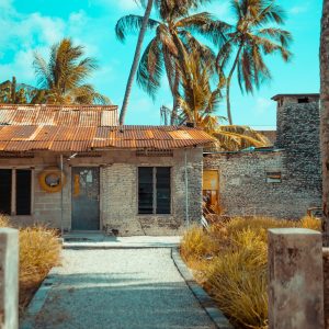 saffu-9oDNVmdsOHo-unsplash
