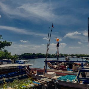 samithu-siriwardana-qVpNurj5YhQ-unsplash