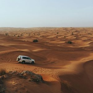 zafeerah-heesambee-bXsJnwcIykw-unsplash